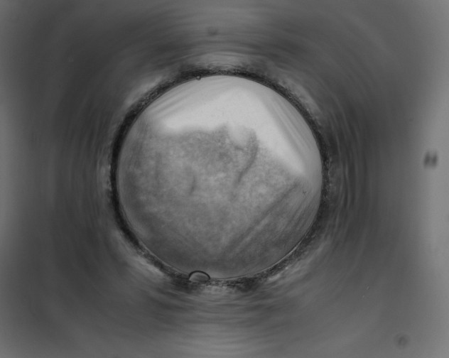 X0000102010399200808081729