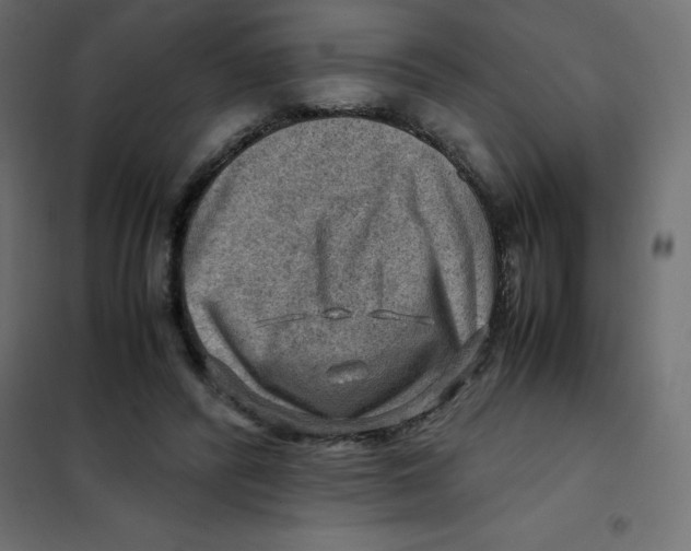 X0000102010400200808081729