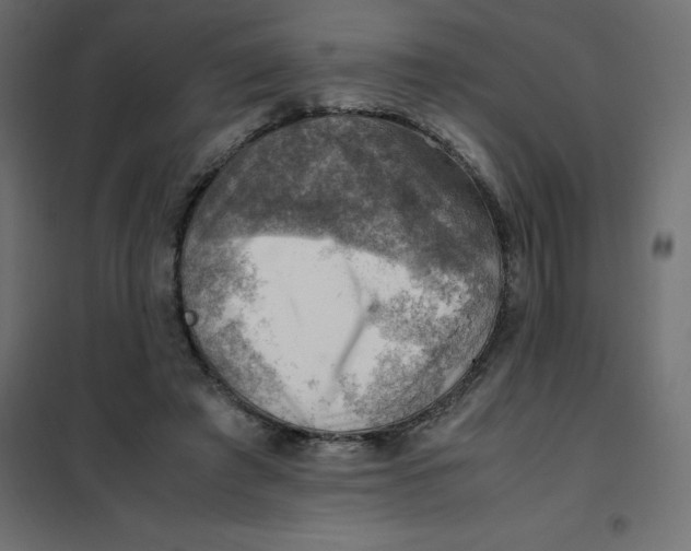 X0000102010401200808081729