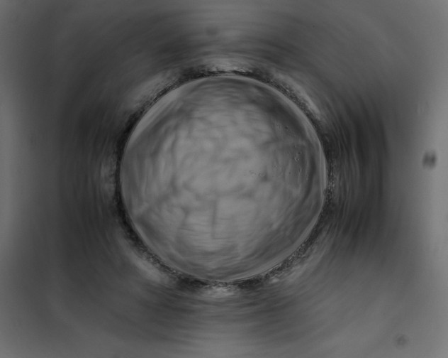 X0000102010402200808081729