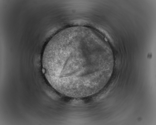 X0000102010403200808081729