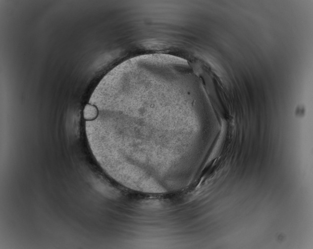 X0000102010404200808081729