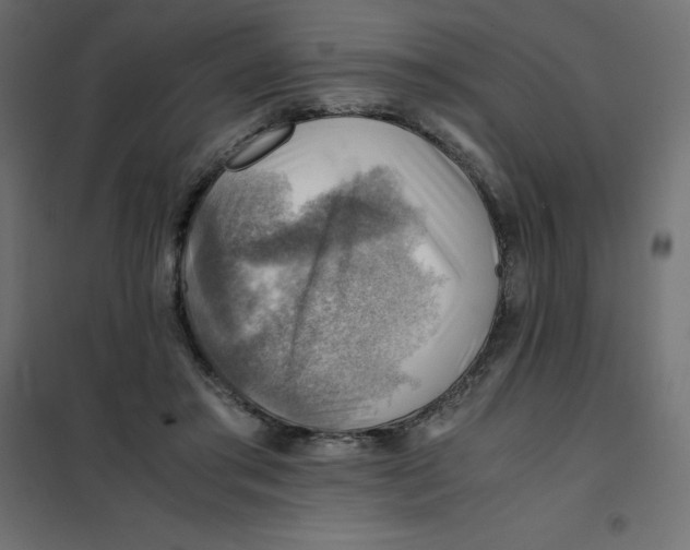 X0000102010405200808081729