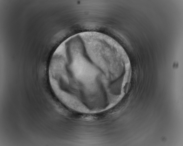 X0000102010407200808081729