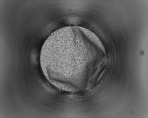 X0000102010408200808081729