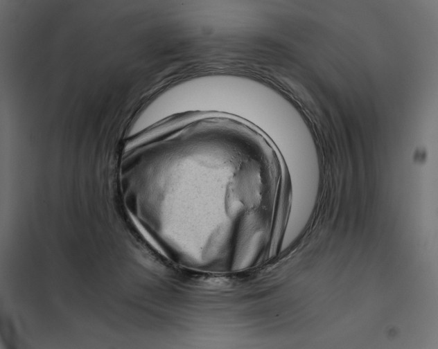 X0000102010409200808081729