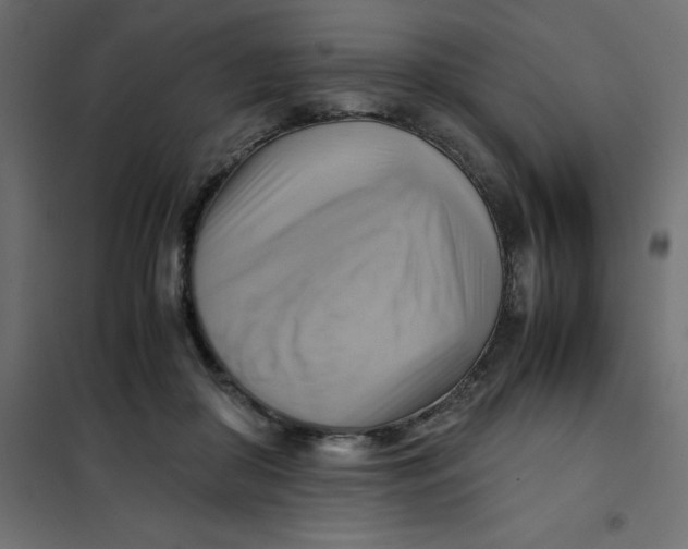 X0000102010410200808081729