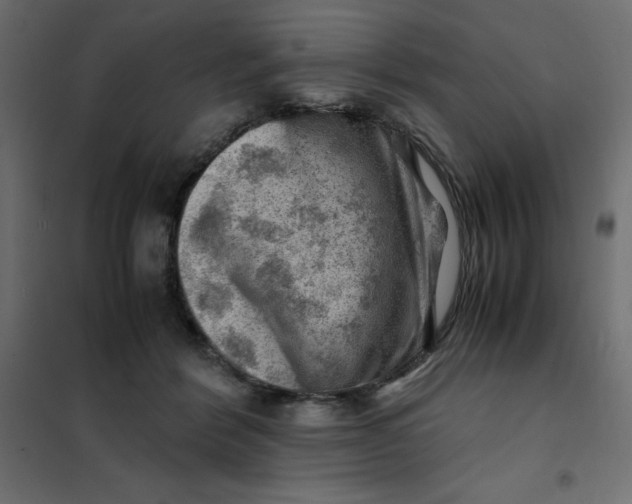 X0000102010412200808081729