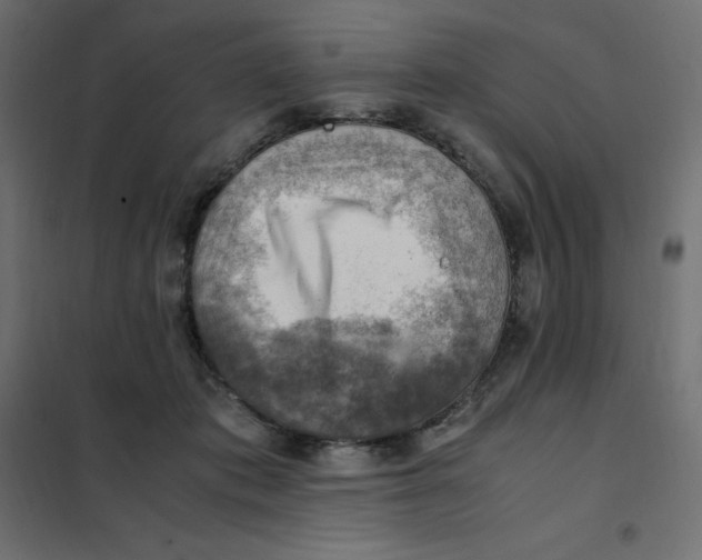 X0000102010413200808081729