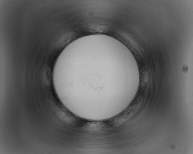 X0000102010414200808081729