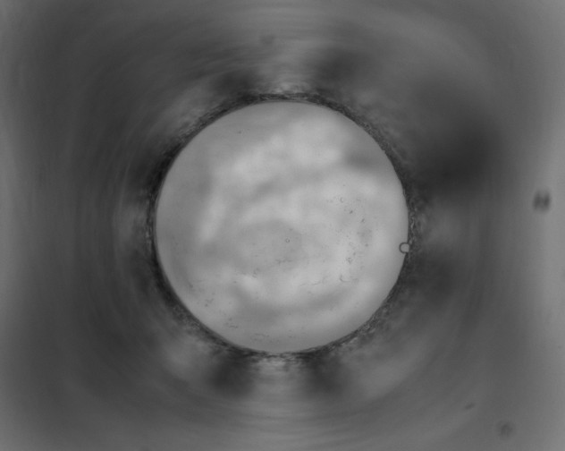 X0000102010415200808081729