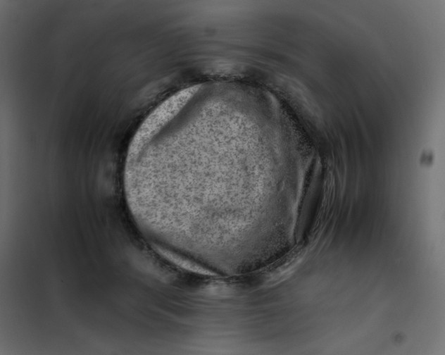 X0000102010416200808081729