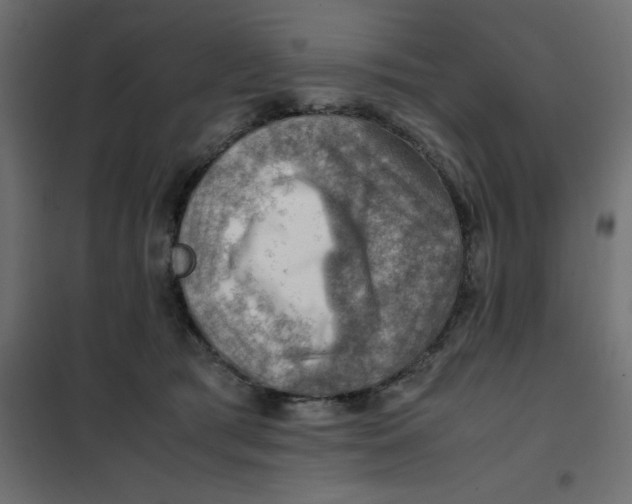 X0000102010417200808081729