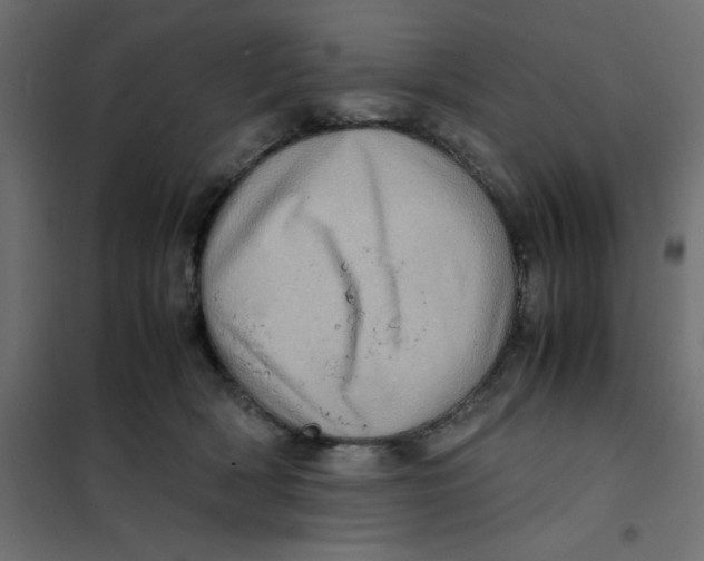 X0000102010418200808081729