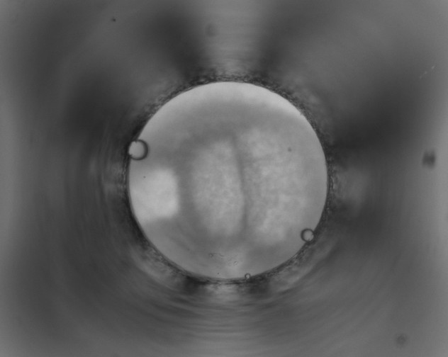 X0000102010419200808081729