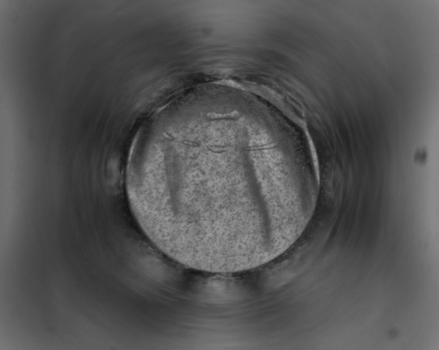 X0000102010420200808081729