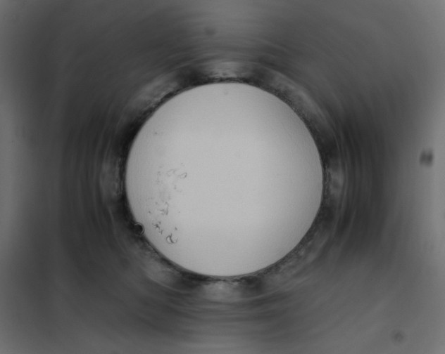 X0000102010422200808081729