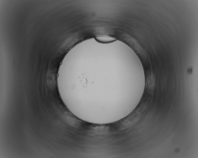 X0000102010426200808081729