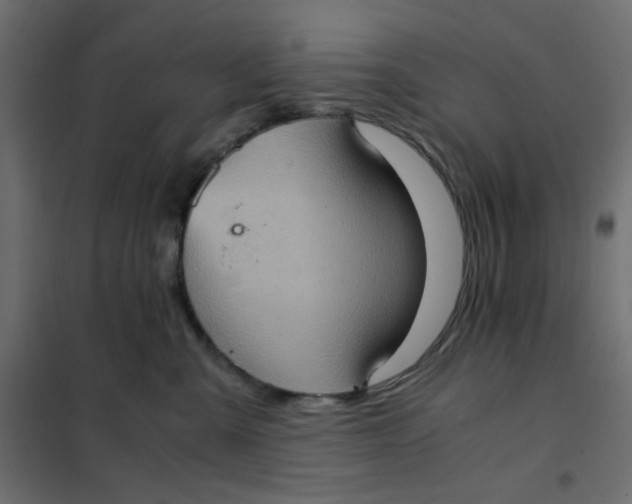 X0000102010427200808081729