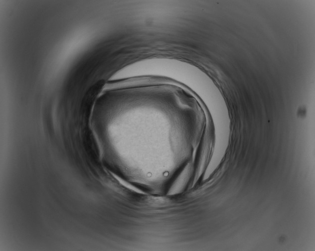 X0000102010429200808081729