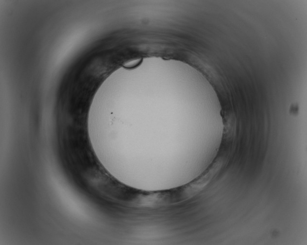 X0000102010430200808081729