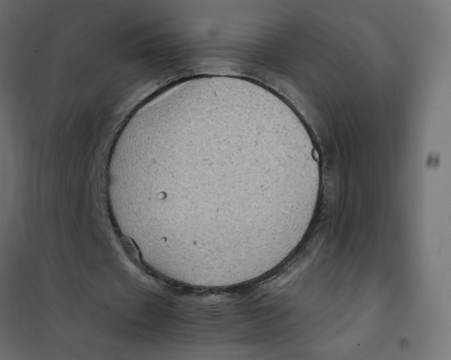 X0000102010433200808081728