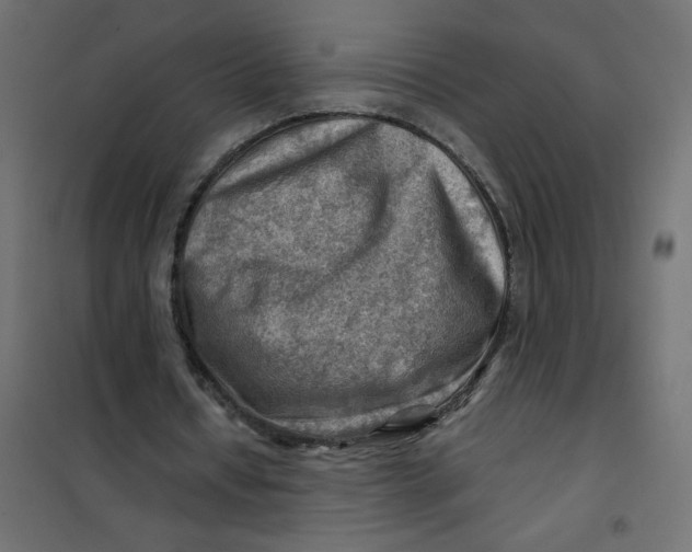 X0000102010434200808081728