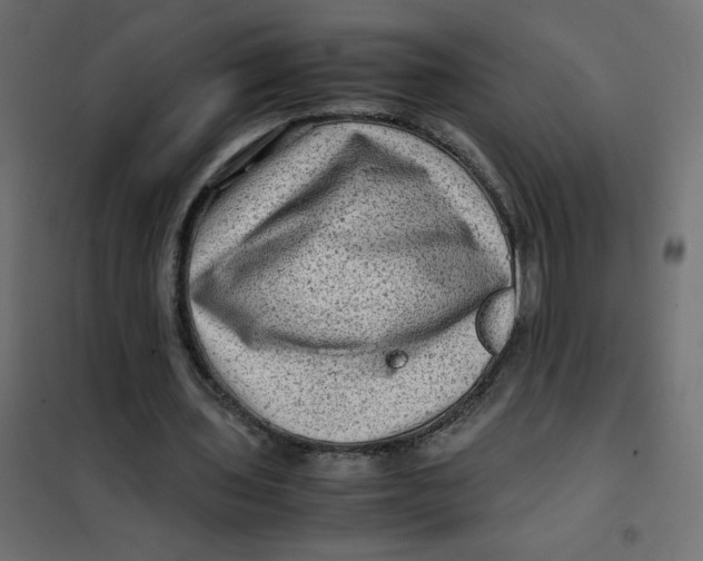 X0000102010435200808081728