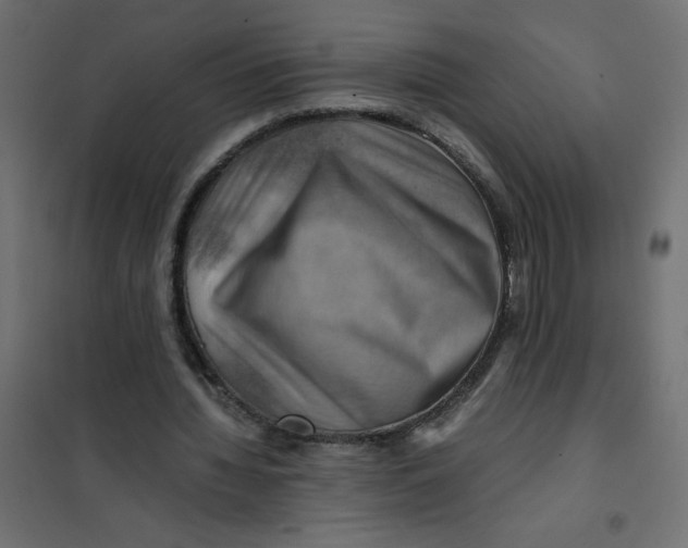 X0000102010436200808081728