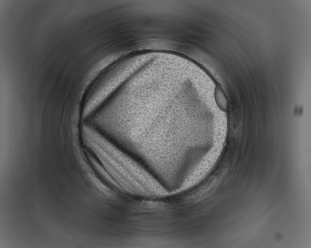 X0000102010437200808081728