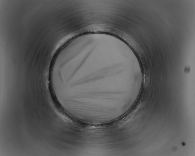 X0000102010438200808081728