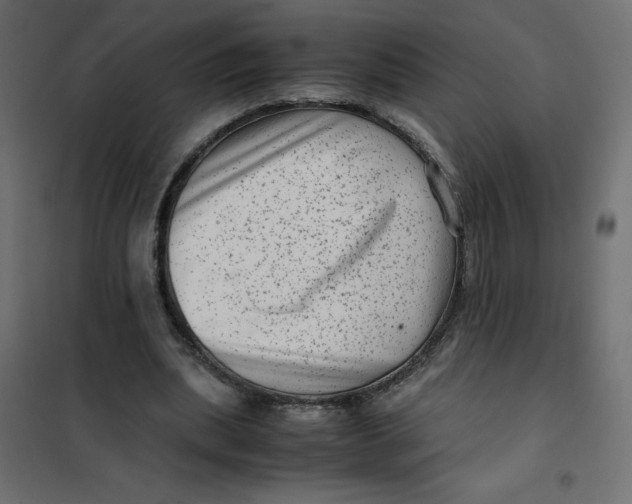 X0000102010439200808081728