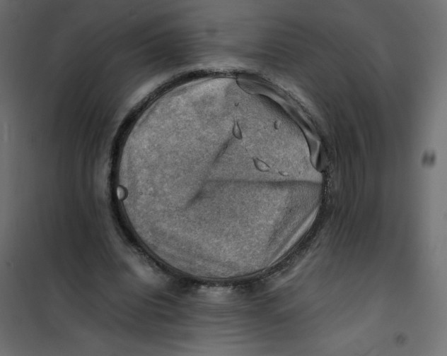 X0000102010440200808081728