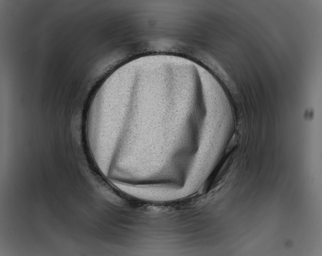 X0000102010442200808081728