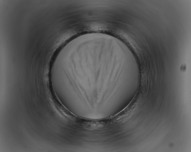 X0000102010443200808081728