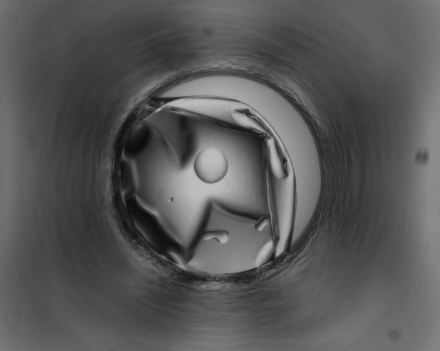 X0000102010444200808081728