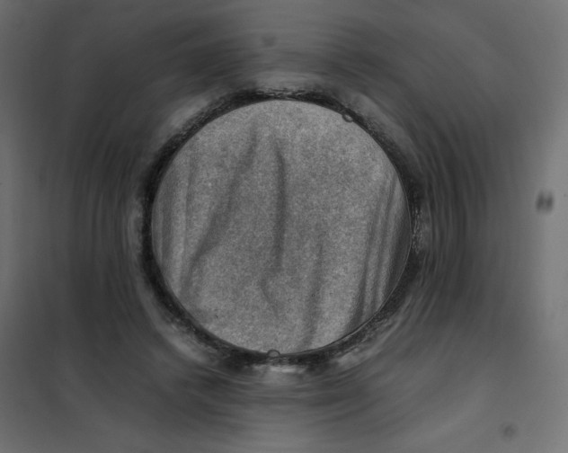 X0000102010448200808081728