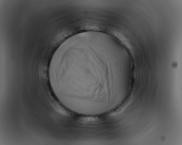 X0000102010449200808081728