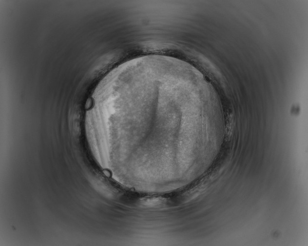 X0000102010452200808081728