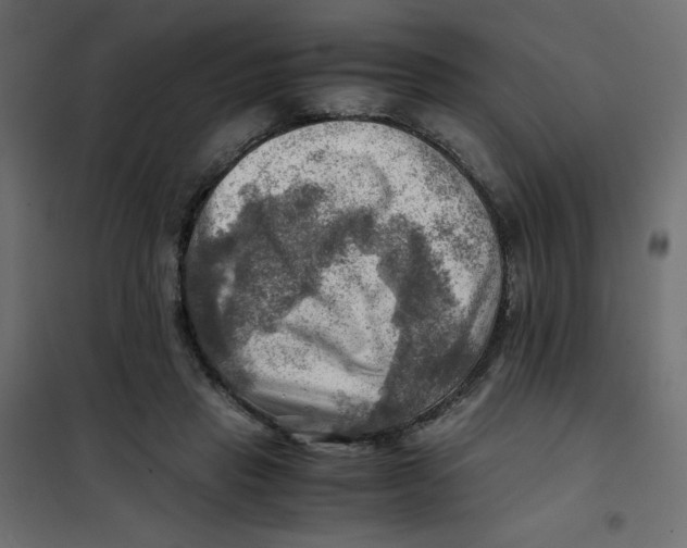 X0000102010453200808081728