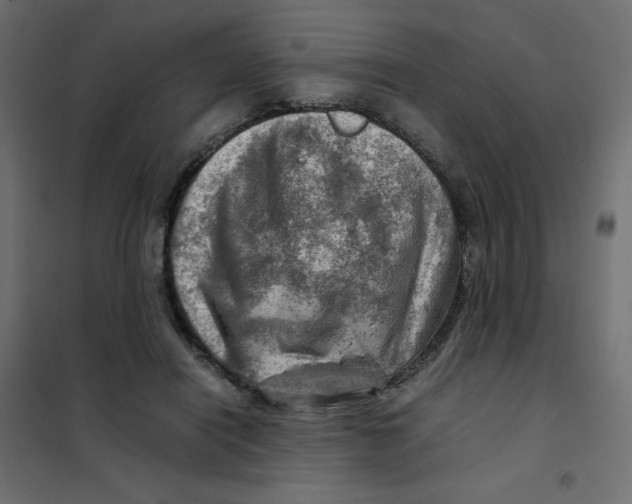 X0000102010454200808081728