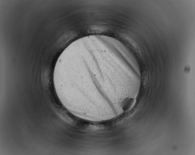 X0000102010455200808081728