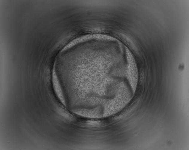 X0000102010457200808081728