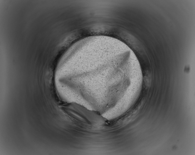 X0000102010458200808081728