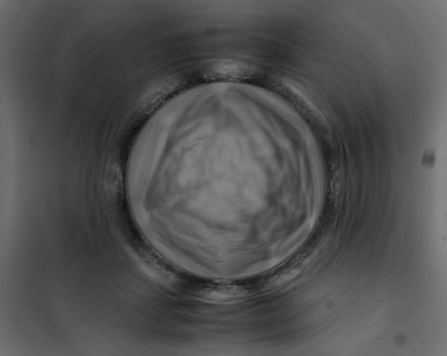 X0000102010459200808081728