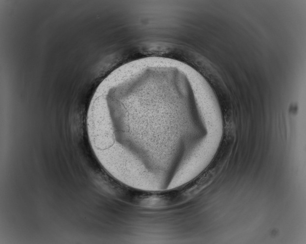 X0000102010460200808081728