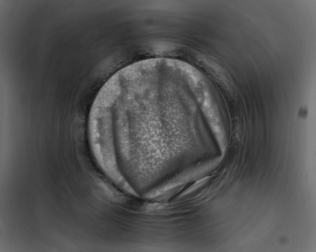 X0000102010461200808081728