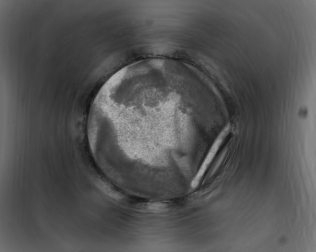 X0000102010462200808081728