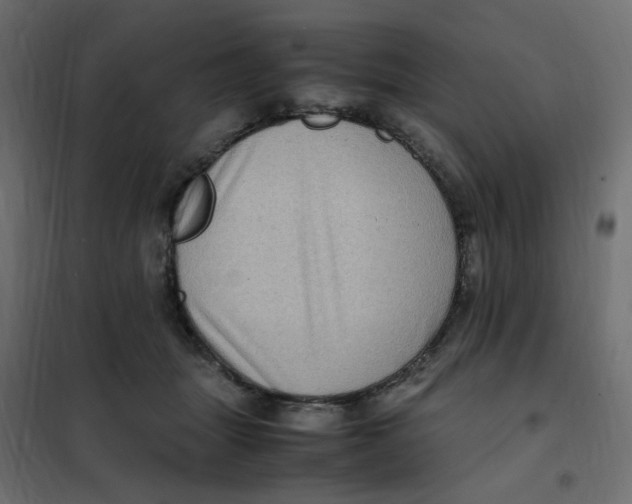 X0000102010463200808081728