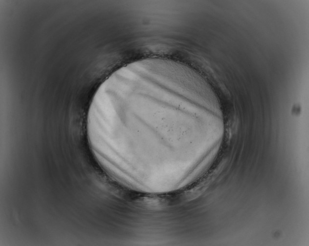 X0000102010464200808081728